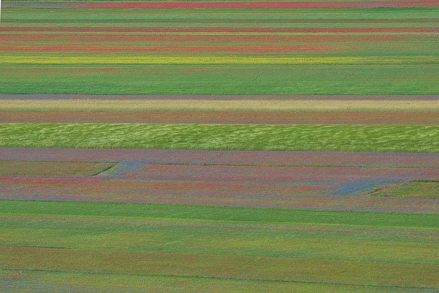 PATTERN di Roberto Scannella (13).jpg